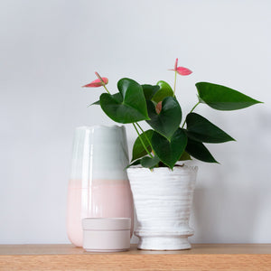 Blossom Cylinder Vase