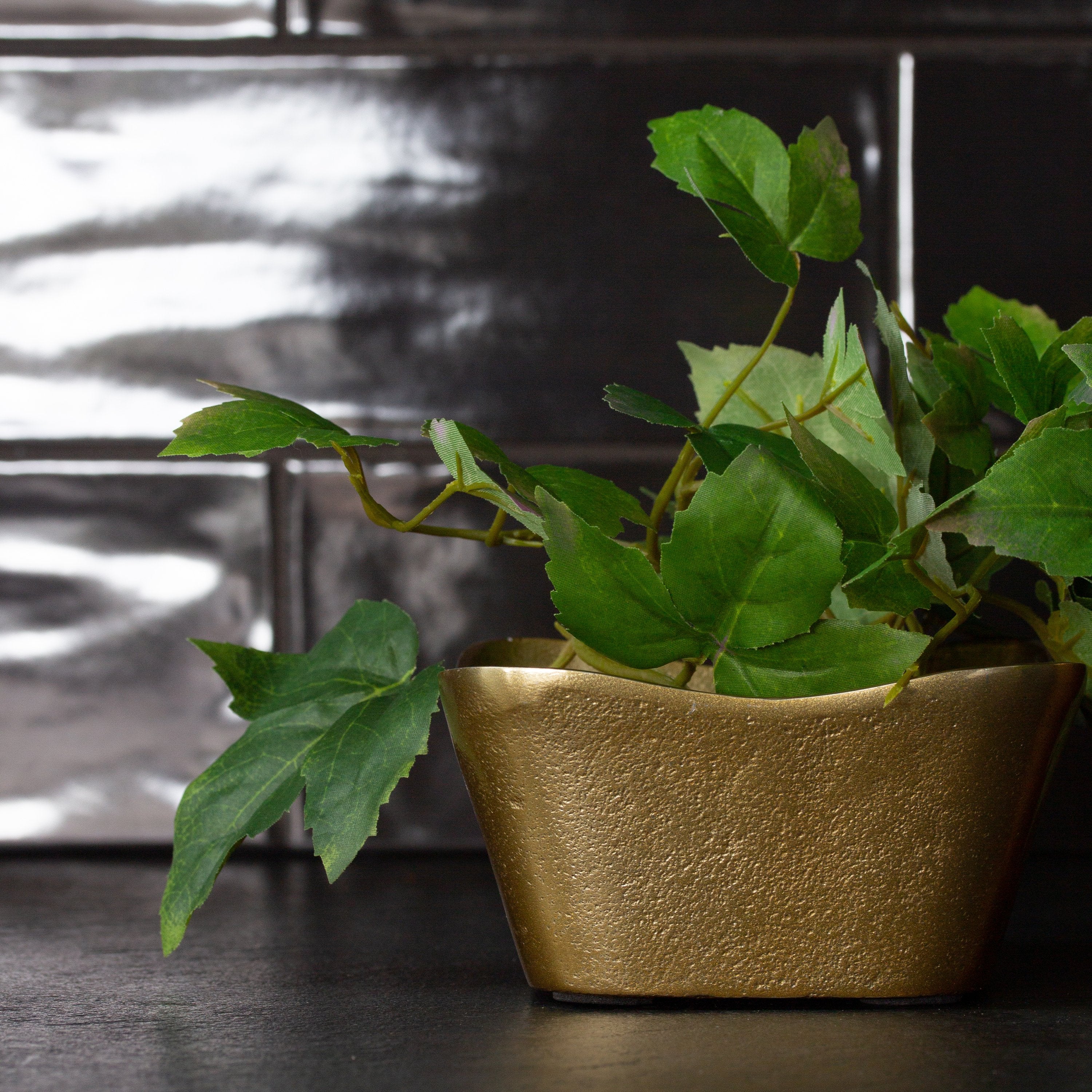 Kona Square Bowl W16.5cm