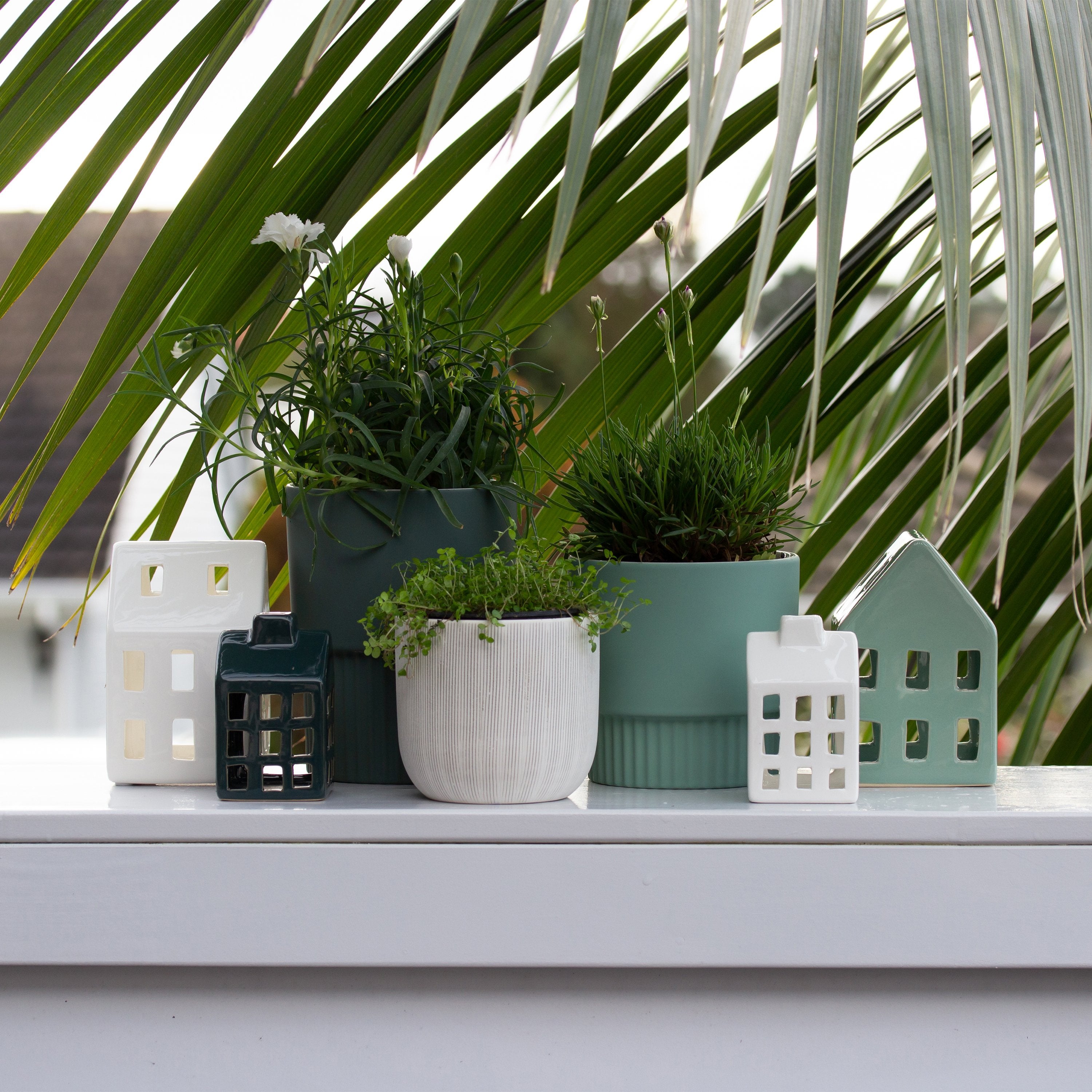 Birch Planter Etched