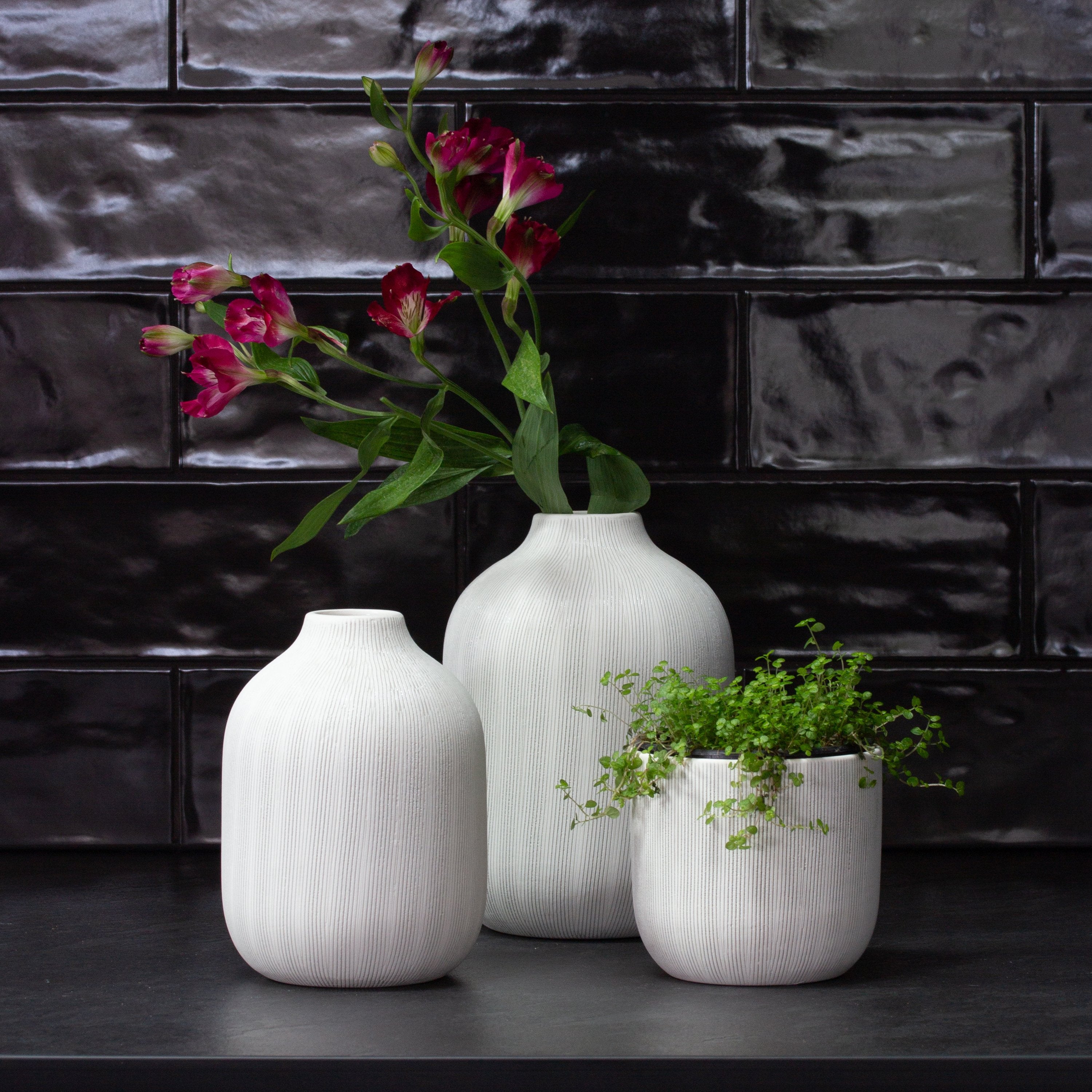 Birch Planter Etched