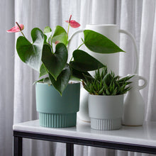 Load image into Gallery viewer, Sillon Planter Storm Grey H9.7cm