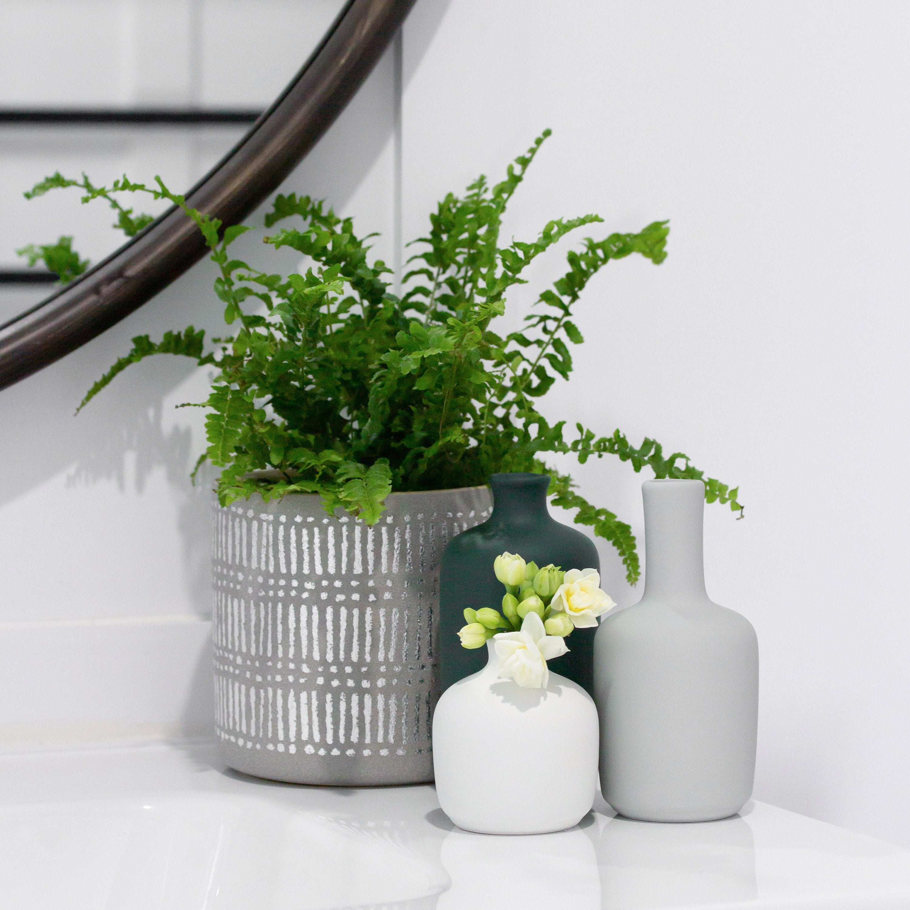 Lucent Planter