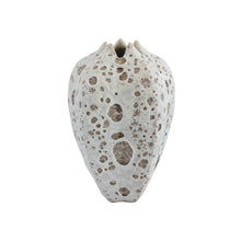 Load image into Gallery viewer, Tuscan Urchin Vase Cream/Beige H18cm