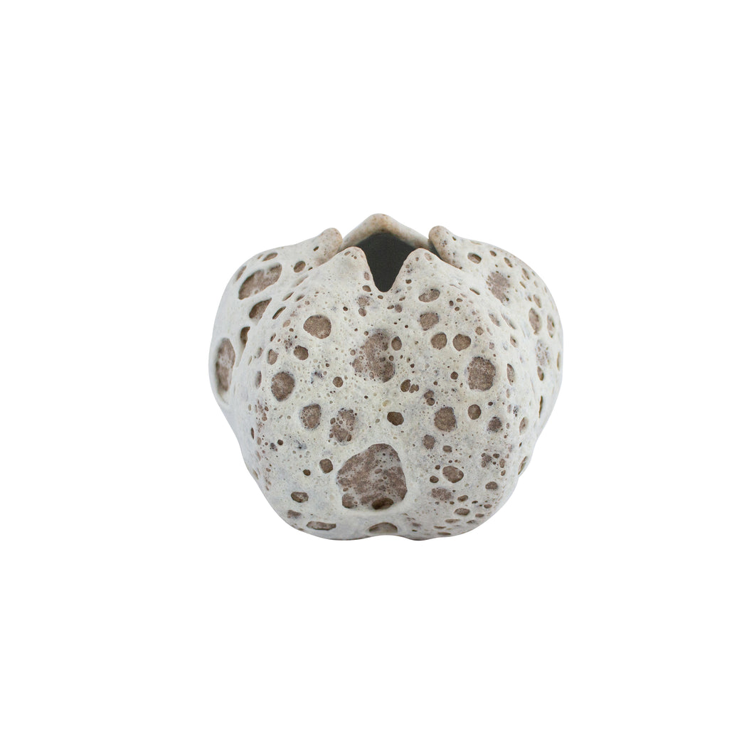 Tuscan Urchin Vase Cream/Beige H10cm