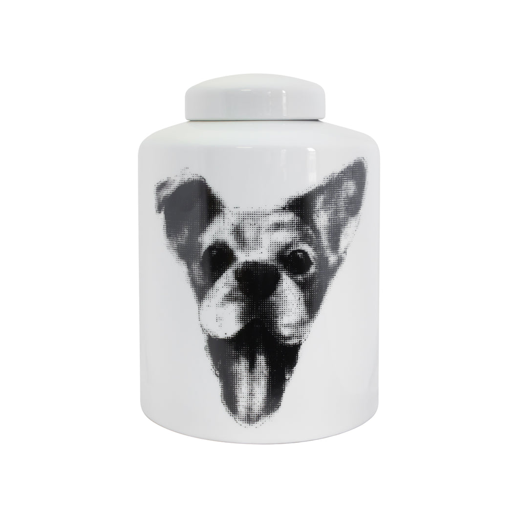 Somerset Dog Ginger Jar