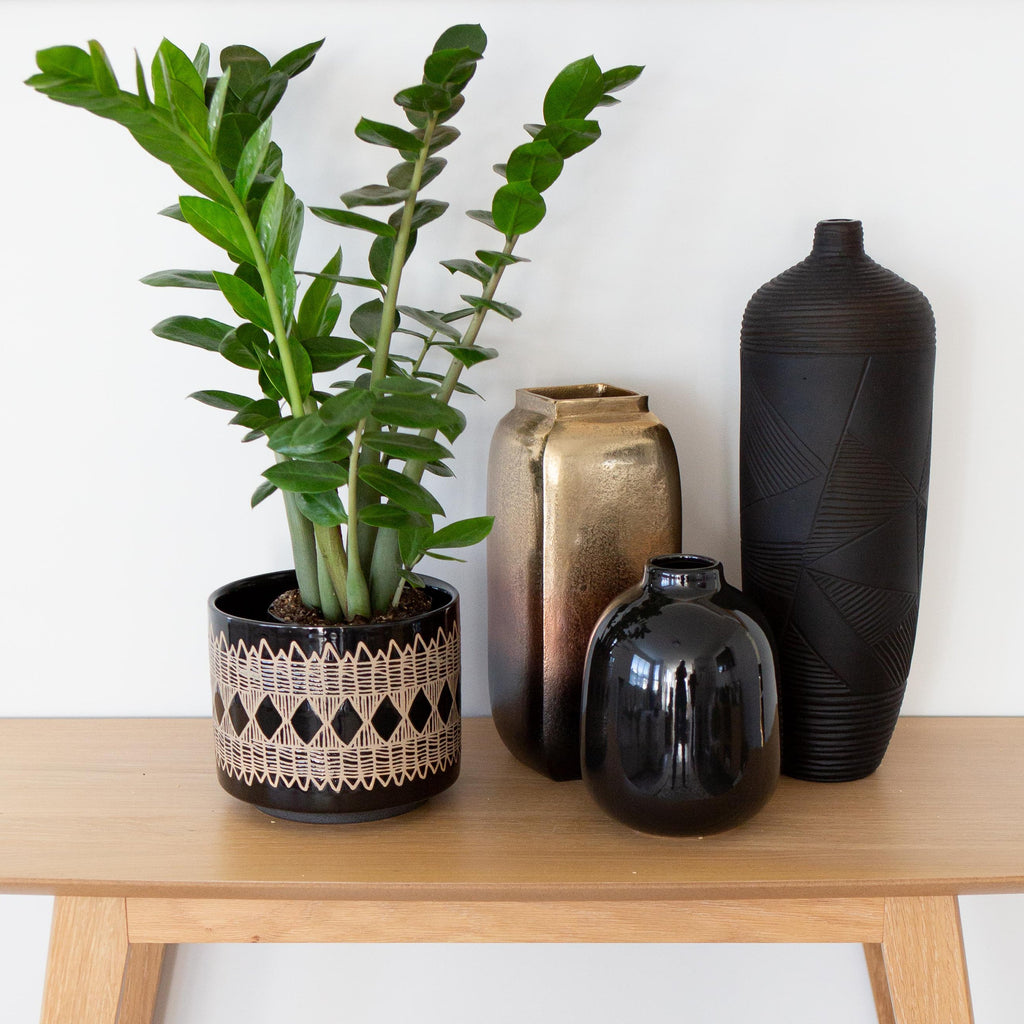 Juno Planter